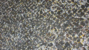 Mehr über den Artikel erfahren Ballermann Simon-Dach-Straße