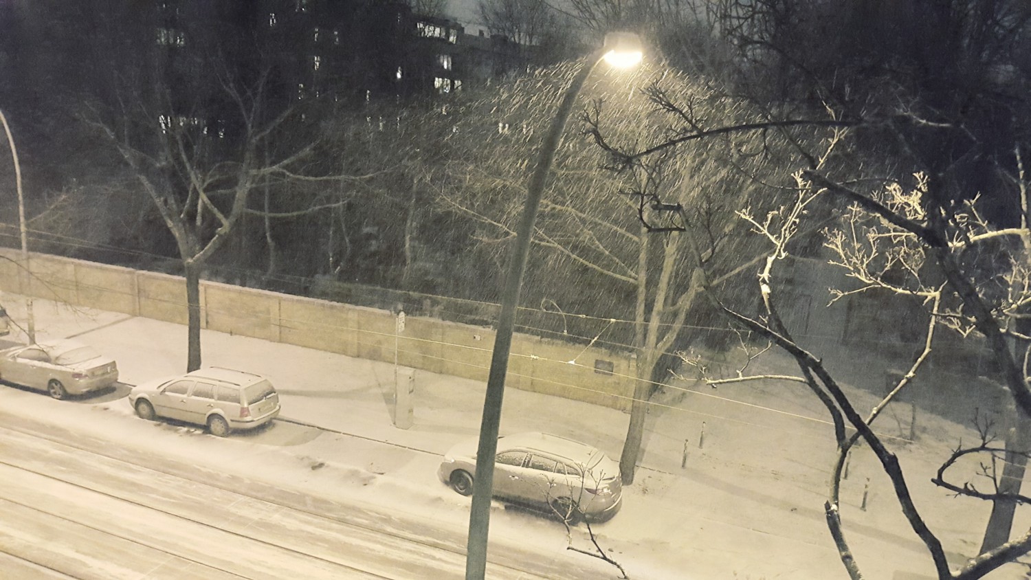 Du betrachtest gerade In Watte gepackt und mit Zucker bestreut: BOY