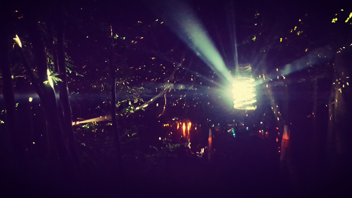 Du betrachtest gerade Set zum WE: Fraenzen Texas @ Garbicz 2016